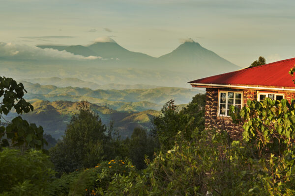 Gorilla Safari Lodges