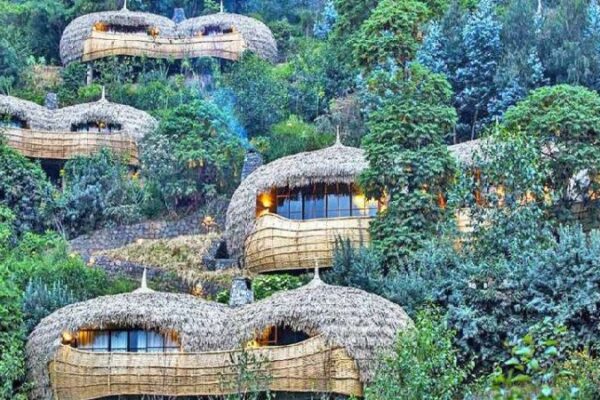 Luxury Gorilla Safari Lodge Rwanda