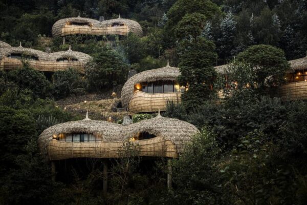 Luxury Gorilla Trekking Package Luxury Gorilla Trekking Package